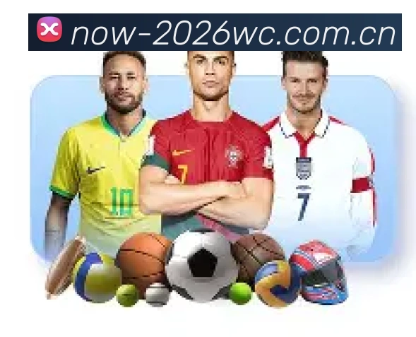 2026世界杯用户界面