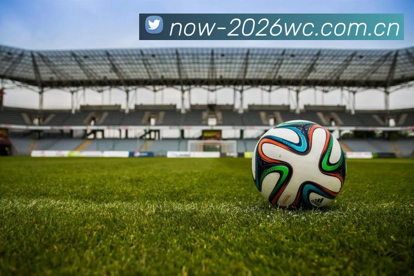 2026世界杯官方数据应用界面